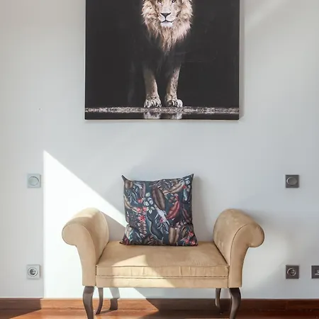 Sunset Villa Labruge